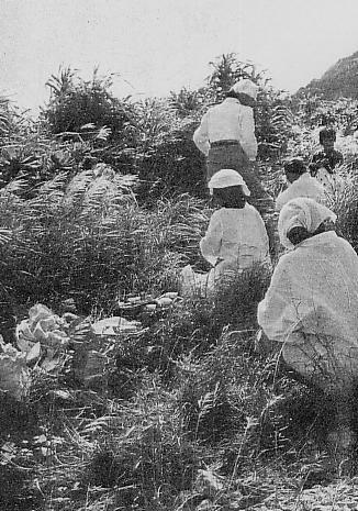 祈祷活動をするユタ（1955年頃）