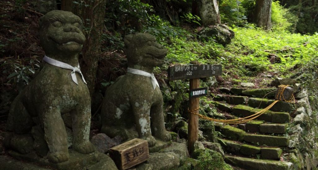 動物霊とはどのような存在か？一覧と役目を解説 Spiritual Media