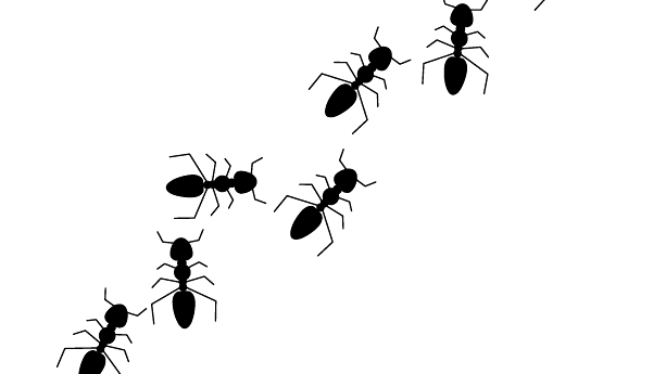 蟻の行列 イラスト