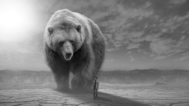 大きな熊