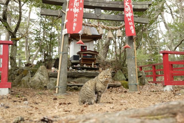 田代島の猫神社